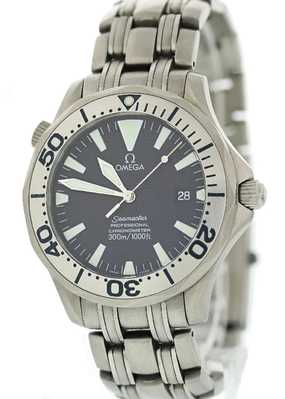 Omega Seamaster Professional 2231.80 Titanium Mens Watch